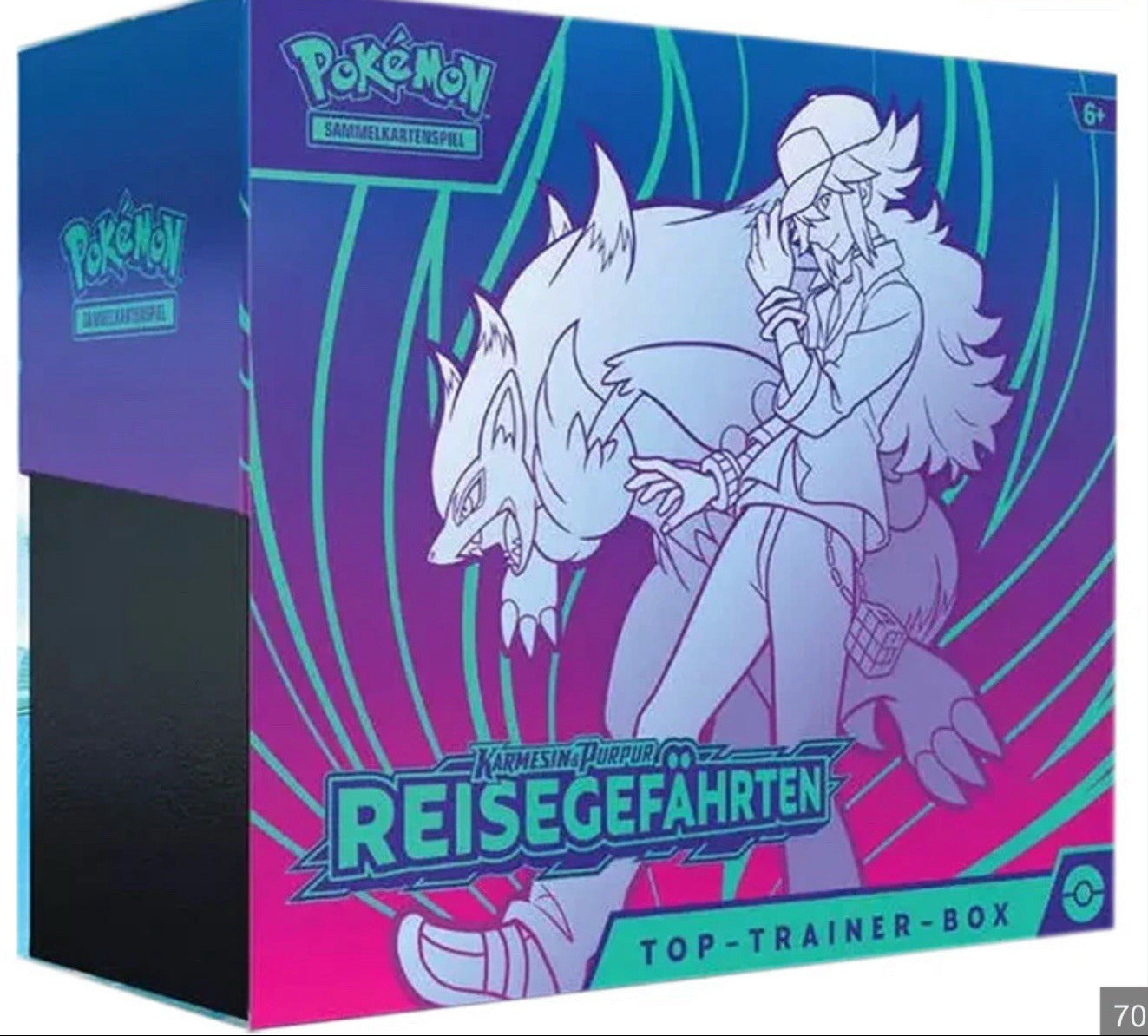 Pokemon: Top Trainer Box - Reisegefährten